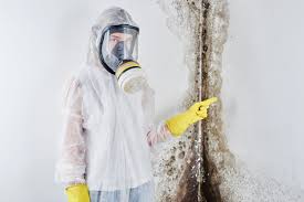 Why You Should Choose Our Mold Remediation Services in Santa Rita Ranch, TX